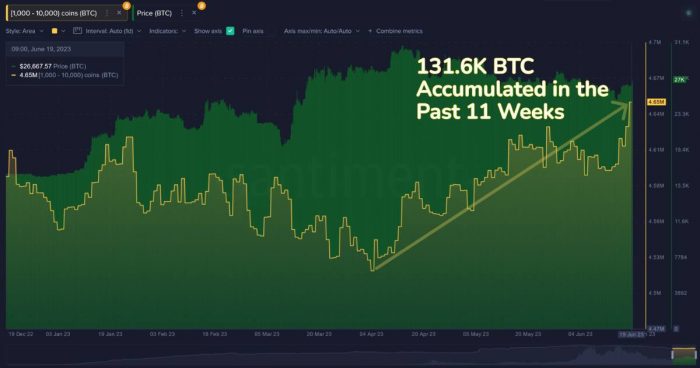 С апреля криптовалютные киты накопили биткоины на $ 3,8 млрд