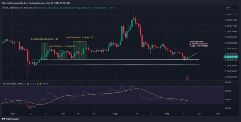 Чистый приток китов Shiba Inu увеличился на 275%. SHIB уйдёт в рост?