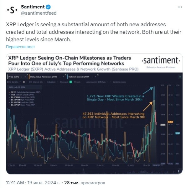 Генеральный директор Ripple ожидает скорого завершения тяжбы с SEC