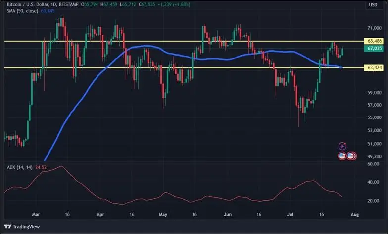 Конец президентской гонки Байдена и эфир-ETF: что будет с криптовалютами