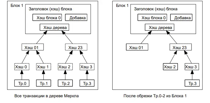 Нюансы упрощенной верификации данных: как работает Дерево Меркла